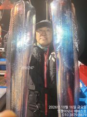 은빛 대 갈치들의 반란 월요일부뒤 가능 합니다
