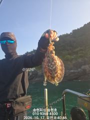 [통영] 통영 송현호))킬로오버 킬로급 돌문어 마구 마구 진행중~