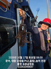 통영 금정호 문어선상 중박조황! 내일 자리있습니다