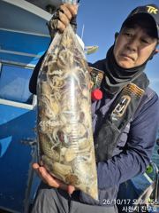 17일 열한분 아침부터 쭈꾸미 완죤 바글바글 한피딩 받고 160수 전,후로 잡았습니다, 쭈꾸미 천지네요! 콜 주세요 ~^^