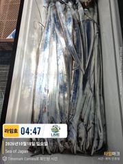 궂은날씨 바이킹 놀이 ㅜ.ㅜ, 갈치야 월욜 또 보자잉~!