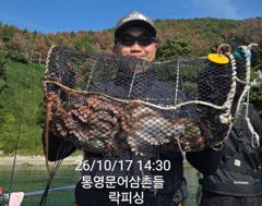 [통영] (문어)누구나 마릿수 찬스~덩치들 연타 작렬 락피싱(19일 예약…