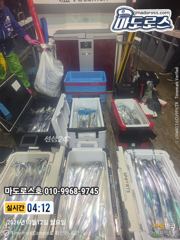 올래 갈치가10월이피크입니다 !