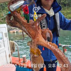 문어 낚시 대회