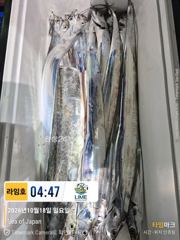 궂은날씨 홍도권 나들이~! ㅜ.ㅜ , 날씨 좋은날 다시 보자잉~~!