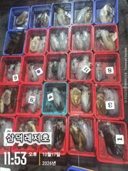 [팁런] 똥바람통,무시급,무늬들(수요일부터,출항)