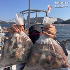 통영] 문어 사량도 굴어장 조황 17일(토) 통영 메티스호