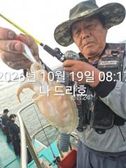 18, 군산 갑오징어 날마다 확실한 조황~~실시간 조황~군산낚시프라자 나드리호