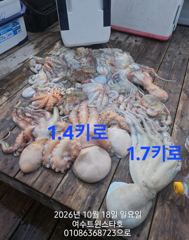 22일(목)문어전투자리가능01086368723