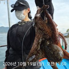 유신호 문어는 꾸준히!