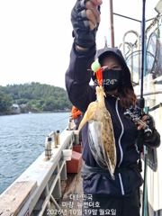 강진마량 뉴썬더호 쭈꾸미 조항