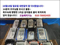 6시간전 [경주] 10/19 미터/미터오버 대삼치/중삼치/대고시/방어 마릿수 굿!