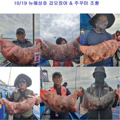 10월 19일 갑오징어 & 주꾸미 굿 조황