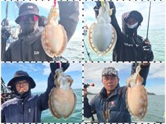 10월 19일 20일 군산 똥까호 갑오징어 조황정보