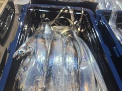 준내만갈치[오늘 예약]3.4.5지까지 쿨러 가득그득~오늘 무조건 출항합니다