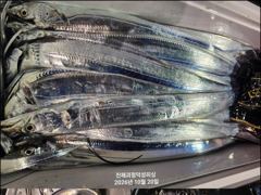 [20일입항] "내만갈치" 3지급씨알이 퍽퍽퍽!!! 씨알+마릿수 대박이예요~ [수요일부터 예약가능] 010-7660-2435
