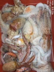~~*돌문어 굵직한 손맛,씨알 굿 마리수 굿굿 좋아요~~(낼예약가능)*~~