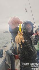 [사천] 쭈꾸미 내일2자리 여유 선비이벤트
