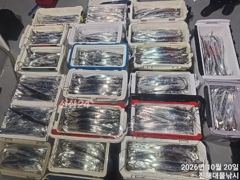 [진해] 우와~20일새벽,내만칼치 3지4지까지용가리어마어마초대박~수,목,…