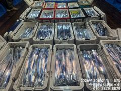 [진해] 준내만갈치~3.4.5지까지 전원 쿨러 그득 그득 채우고 오네요