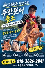 녹동돌문어 싸이즈가 좋네요 ~