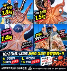 삼천포문어낚시｜키로오버만 두 자릿수! 장원 1.8kg·준장원 1.5kg! 덩치들이 쏟아진다.삼천포 박프로 흑진호