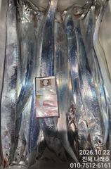 내만 갈치~ 3.5지까지~ 씨알최고~ 손맛최고~ 초보가능~ 오늘 5시 30분 출항확정~ 목금토일 예약가능~