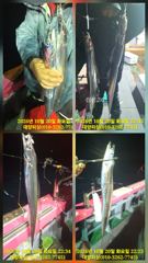 요즘 텐빈 갈치조황이 살아납니다 씨알도 좋고