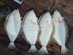 23일, 생미기 "대광어"~개우럭~참돔,농어등,~잘 나오고 있어요~실시간~강한 손맛이 다르다~~군산낚시프라자 범고래호