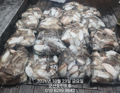 포인트호 연일 100갑장원망탱이~