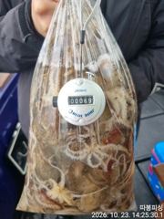 23일 왕쭈(인증샷)조항 장원90수 좋아좋아 따봉 ~일욜(출항확정) 예약가능 합니다
