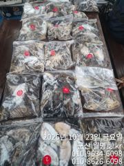 23일 쭈갑 오후반 조황
