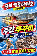 <야간 갑오징어>월,화,수~예약가능 &<주간쭈꾸미>예약가능