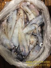 [진해] 갈치 텐빈 한치도!! 밤새 퍽퍽~~수요일부터 예약가능