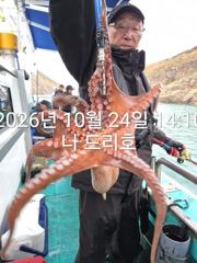 24일, 군산 왕문어 ~연일 계속되는 문어낚시~실시간~매일출조~군산낚시프라자 나드리호