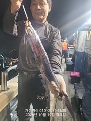 내만 3지급 느나느나 내만 은빛 갈치 조황 오늘 무조건 출항 자리여유많음