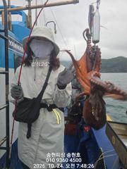 통영 송현호))실시간 돌문어 킬로오버 킬로급들 연타로 히트!
