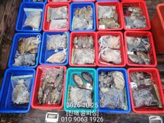 [진해] 윤피싱 쭈꾸미, 갑오징어, 문어까지 손맛 굿~