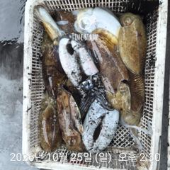 갑오징어 낚시만