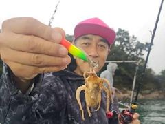 [경주] 10/25(일) 오전 대삼치&삼치,방어 대타작(주중,주말 모집)