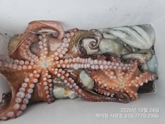 [진해] "여밭돌문어" 2.4kg1.5kg1.4kg1.3kg1.2kg1.…