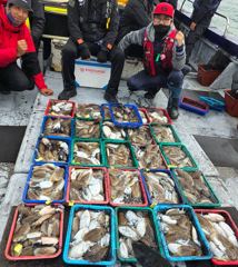 [[[신진자연호]]] 10월25일 갑오징어굿조황입니다