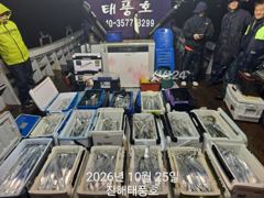 내만갈치 용가리 갈치 씨알이 크네요. 화요일부터 예약가능.