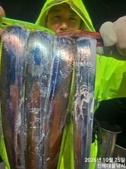 우와~내만칼치3지4지,용가리들 엄청나게잡고 씨알초대박~오늘 예약가능~