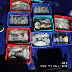 1   [거제] 내만권(무늬오징어) 빅사이즈~앗따 씨알이 끝장판~스마일호(28일… 1