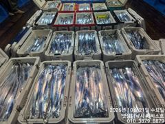 준내만갈치~3.4.5지까지 쿨러 가득 채우고~예약가능합니다