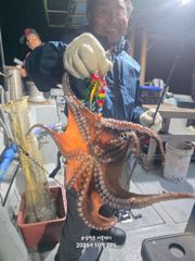 [사천] 삼천포 문어, 주꾸미 조황!