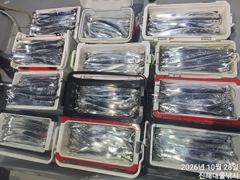 와.28일새벽,내만칼치3지4지용가리대박~엄청나게잡고전원쿨러.목욜예약가능~