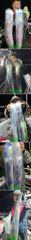 내만갈치~3지4지!씨알끝장!후덜덜,목요일출항(에약가능)