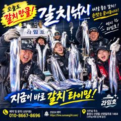 오늘부터 갈치 사냥 다시 달립니다. /평일은 자리가 여유가 많으니 황제 낚시 하러가요.~!